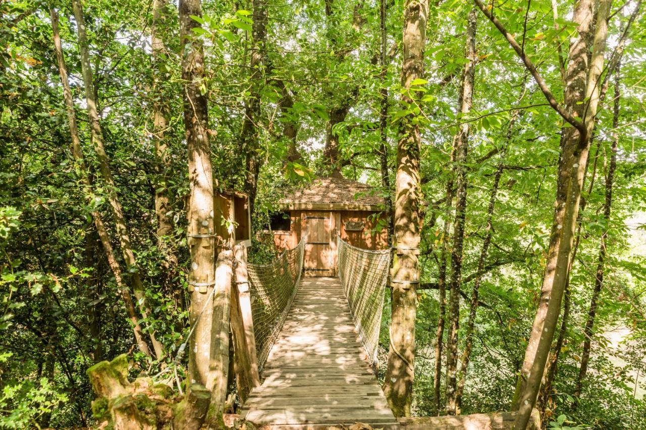 Les Ecolodges De L'Orbiere Forcé Kültér fotó